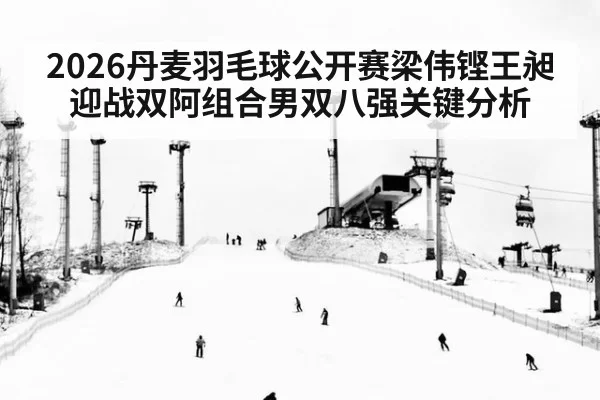 2026丹麦羽毛球公开赛梁伟铿王昶迎战双阿组合男双八强关键分析